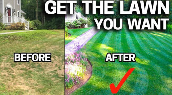 Lawn