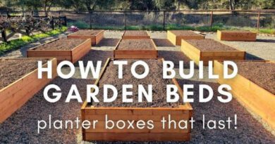 Garden Beds