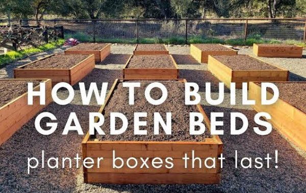 Garden Beds