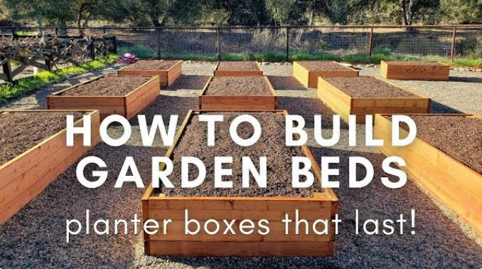 Garden Beds