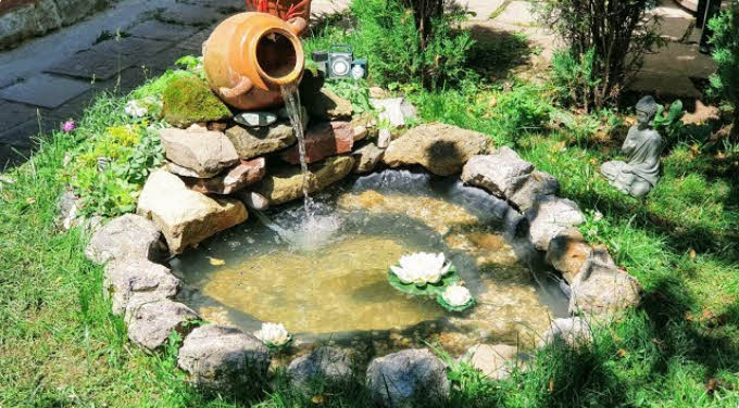 Ponds and Water Features