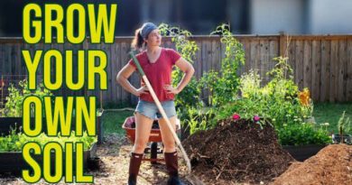 Gardening Tips & Tricks