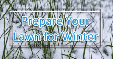Prepare Your Lawn For Winter