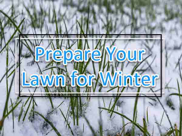 Prepare Your Lawn For Winter